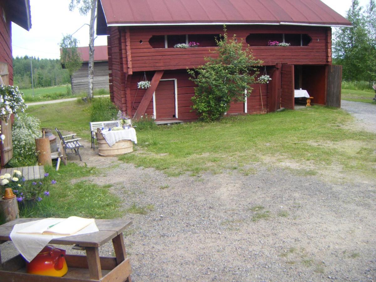 Lemettilae Countryside Accommodation Petäjävesi Kültér fotó