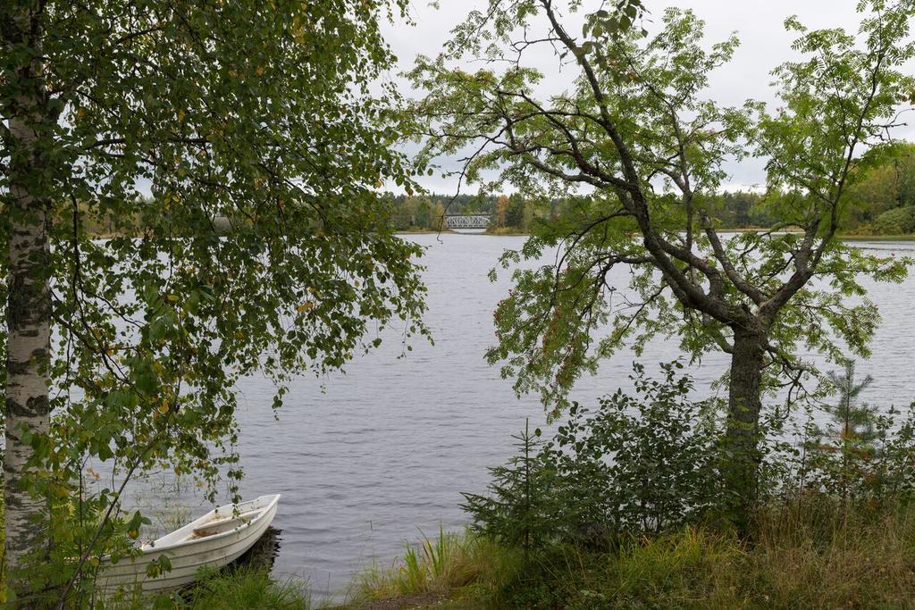 Lemettilae Countryside Accommodation Petäjävesi Kültér fotó